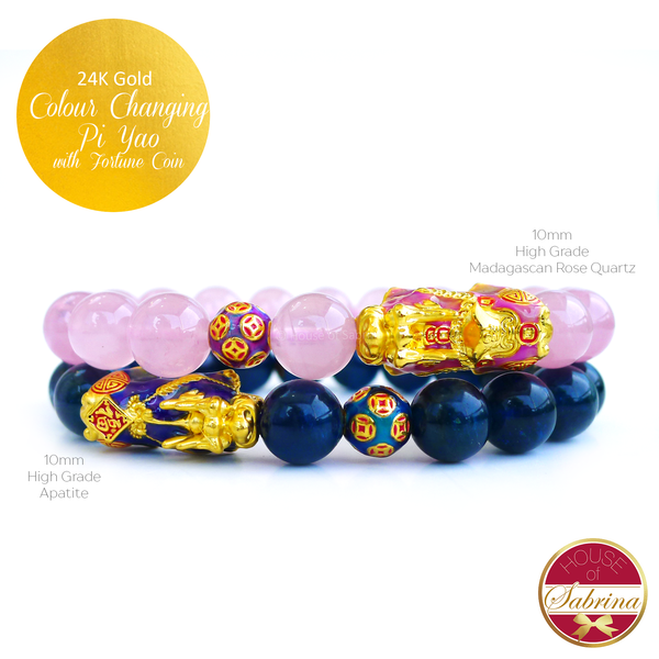 24K Gold Pink- Purple Colour Changing Pi Yao and Fortune Coin on High Grade Madagascan Rose Quartz